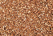 Buckwheat background