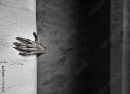 Foto: The Hand The Hand