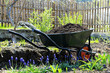 Gardening