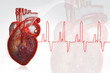 Human heart