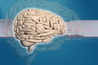 Brain background