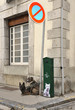 Les 2 chiens abandonnés Les 2 chiens abandonnés