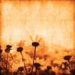 Grunge floral background