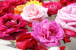 Rose on water Rose on water