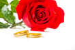 Red rose and wedding rings over white Red rose and wedding rings over white