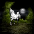 unicorno notturno