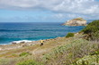 La côte La côte