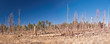 North Rim, Grand Canyon North Rim, Grand Canyon