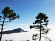 Fog at Doi Hua-sua Doi Inthanon National park Fog at Doi Hua-sua Doi Inthanon National park