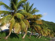 Guadeloupe - Basse Terre - Marina Guadeloupe - Basse Terre - Marina