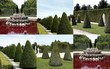 Versailles, les jardins Versailles, les jardins