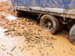 Truck in the mud