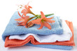 Fresh Towels
