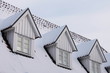 roof with three windows