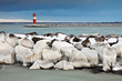 Die Mole in Warnemünde im Winter.