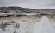 Photo: Snowy trail Snowy trail