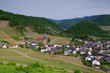 Mayschoß im Frühling