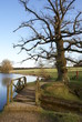 Wooden bridge in English landscape garden.