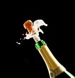 Champagne Cork and Bottle