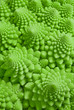 Macro photo of fresh Romanesco