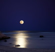 Moonlight Moonlight
