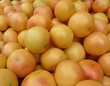 Grapefruit