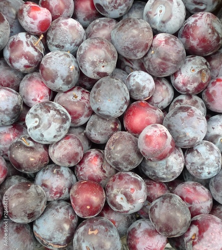 Photo: Plum Plum