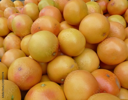 Photo: Grapefruit Grapefruit
