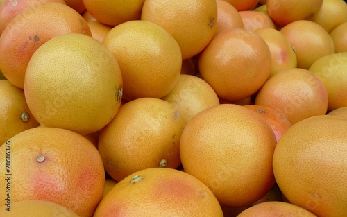 Photo: Grapefruit Grapefruit