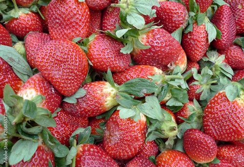 Photo: Strawberry Strawberry
