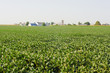 Photo: fattoria amish fattoria amish