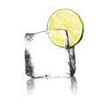 Limette im Eiswürfel