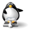 pinguino su bilancia