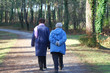 promenade en forêt