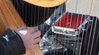 hands of musician plays harp outdoor hands of musician plays harp outdoor