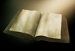 painting of an ancient textbook with aged blank pages painting of an ancient textbook with aged blank pages