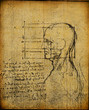 anatomy art