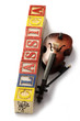 Musica classica