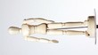 rotating wooden toy mannikin on white rotating wooden toy mannikin on white