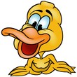 Laughing Duck - colored cartoon illustration