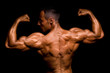 The male back. The male back.