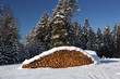Brennholz im Schnee