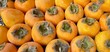 organic persimmons at the farmer's market