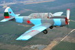 Yak In flight