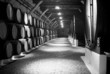 large wine cellar