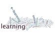 Word Cloud 