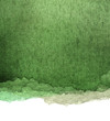 abstract green watercolor background