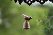 Clay bird and bell on green background Clay bird and bell on green background