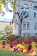jardin aux couleurs d'halloween à quebec jardin aux couleurs d'halloween à quebec