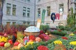 jardin aux couleurs d'halloween à quebec jardin aux couleurs d'halloween à quebec